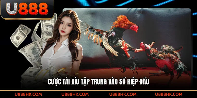 Cược tài xỉu tập trung vào số hiệp đấu