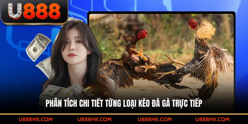 Phân tích chi tiết từng loại kèo đá gà trực tiếp