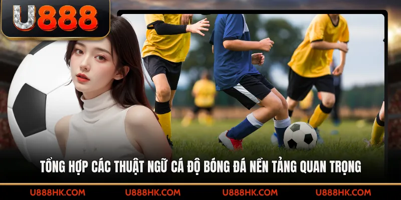 Tổng hợp các thuật ngữ cá độ bóng đá nền tảng quan trọng